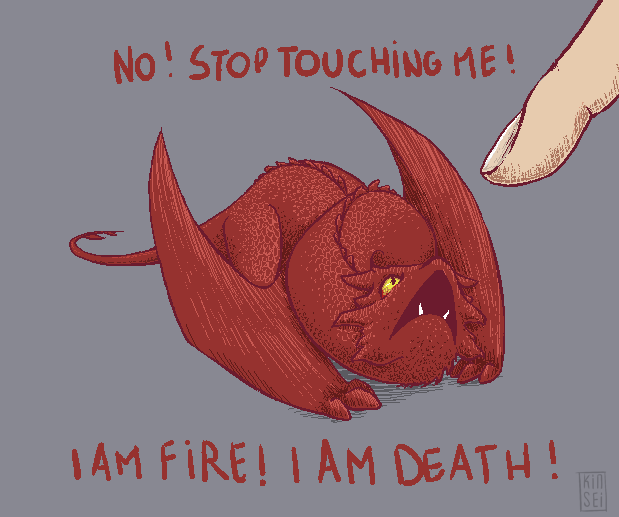 http://myfunnymemes.com/wp-content/uploads/2015/04/Smaug-Does-Not-Like-To-Be-Touched-In-Cute-Hobbit-Gif.gif