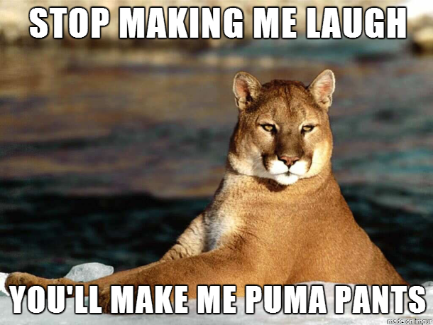 ll Make Me Puma Pants Meme